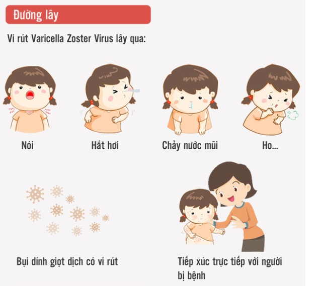 2.2. BENH THUY DAU